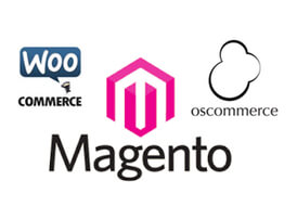 E-commerce Website Development E-commerce Website Development